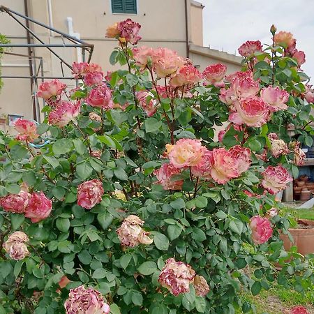 Casa Vacanze L'Acquerello ラーリ エクステリア 写真